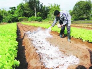 El Yeso y la Cal, sus diferencias en las labores Agrícolas