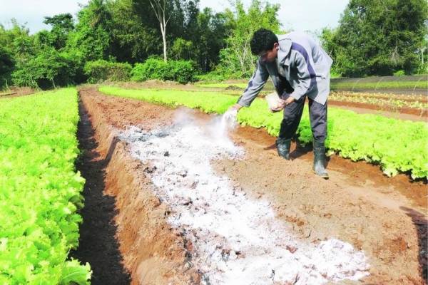 Aplicación de cal agrícola