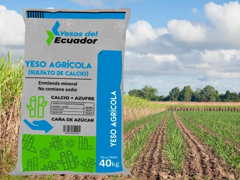 El yeso agrícola como corrector del suelo