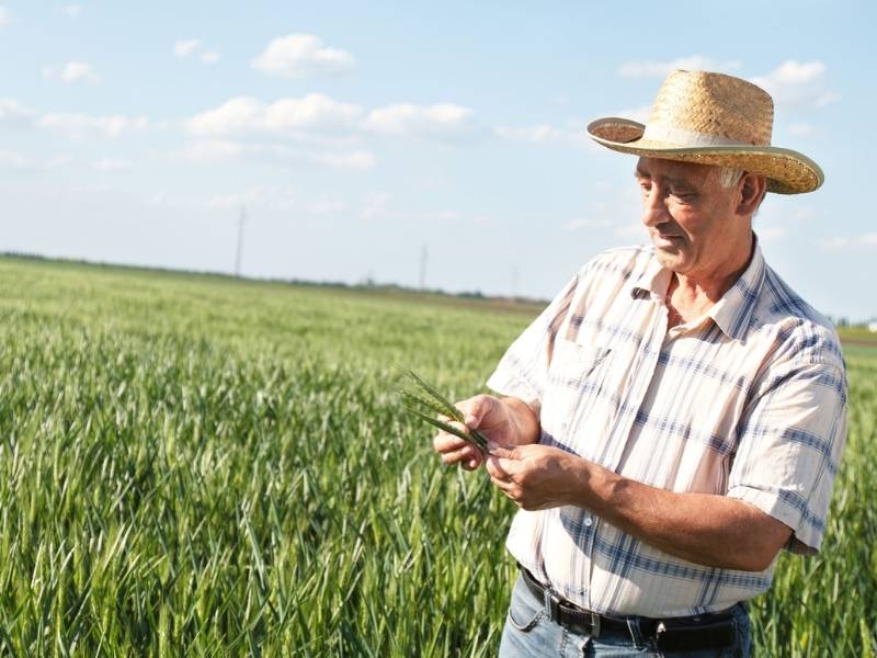 Yeso agrícola en Ecuador
