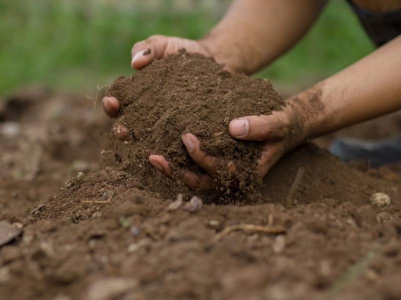 Corrección del pH del suelo